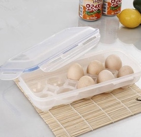 Plastic Egg Box